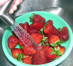 freezing strawberries-5