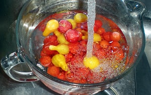 freezing tomatoes-3