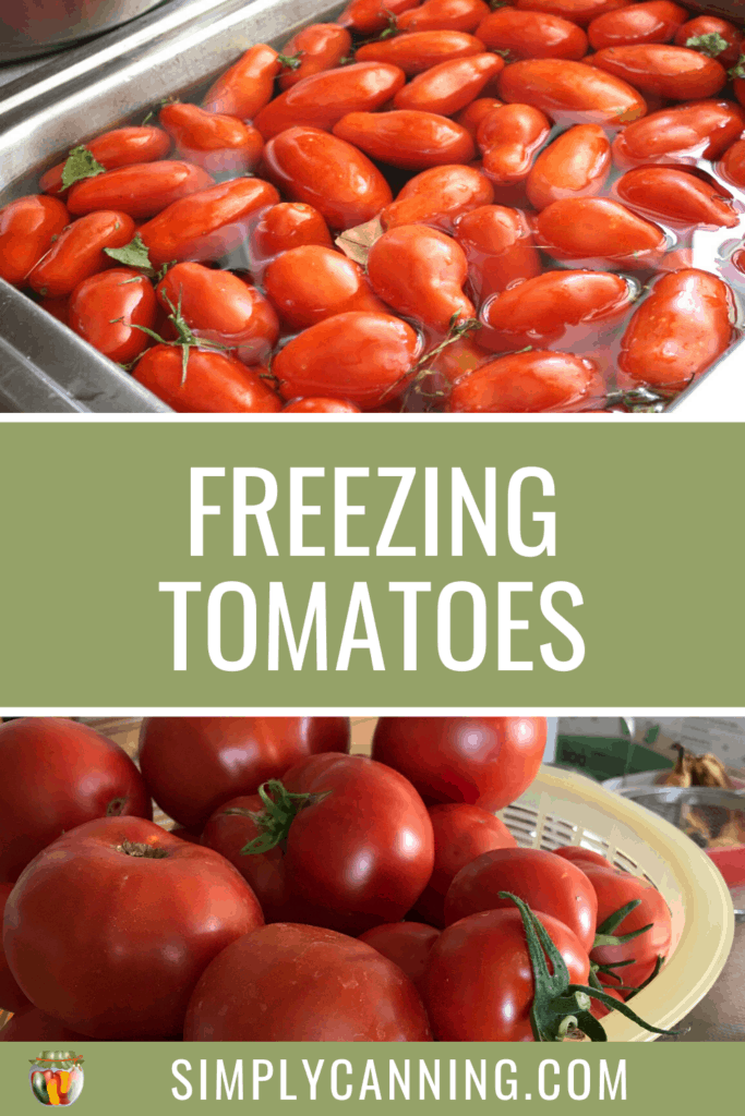 Freezing Tomatoes 