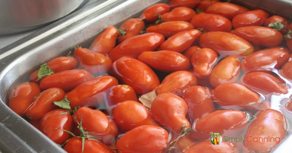 Lots of red Roma tomatoes floating in a sink of water.
