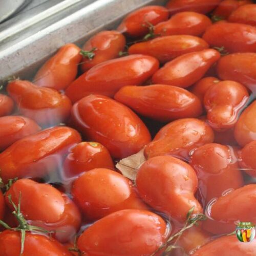 Lots of red Roma tomatoes floating in a sink of water.