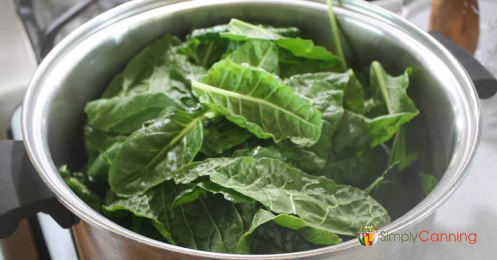 A large pot of spinach.