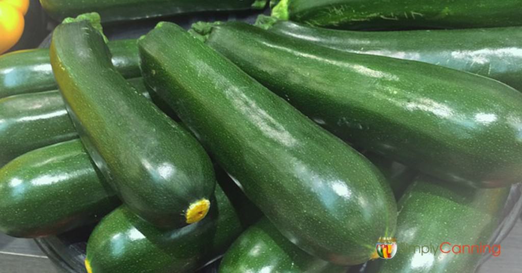 A large pile of green zucchini.