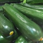 A large pile of green zucchini.