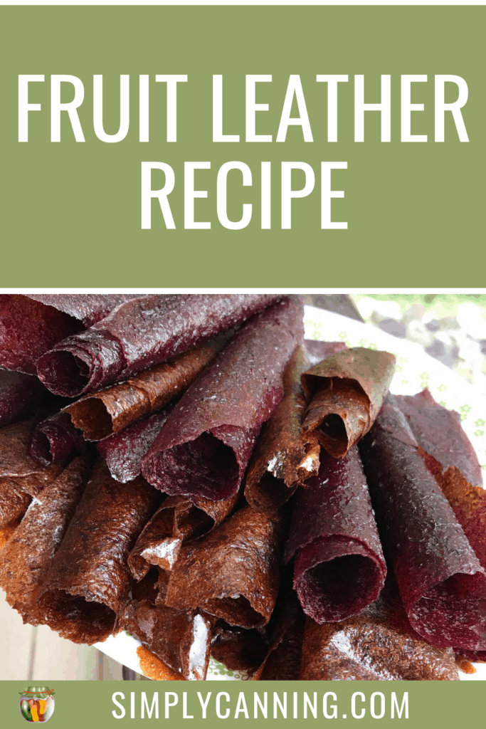 Fruit Leather Recipe