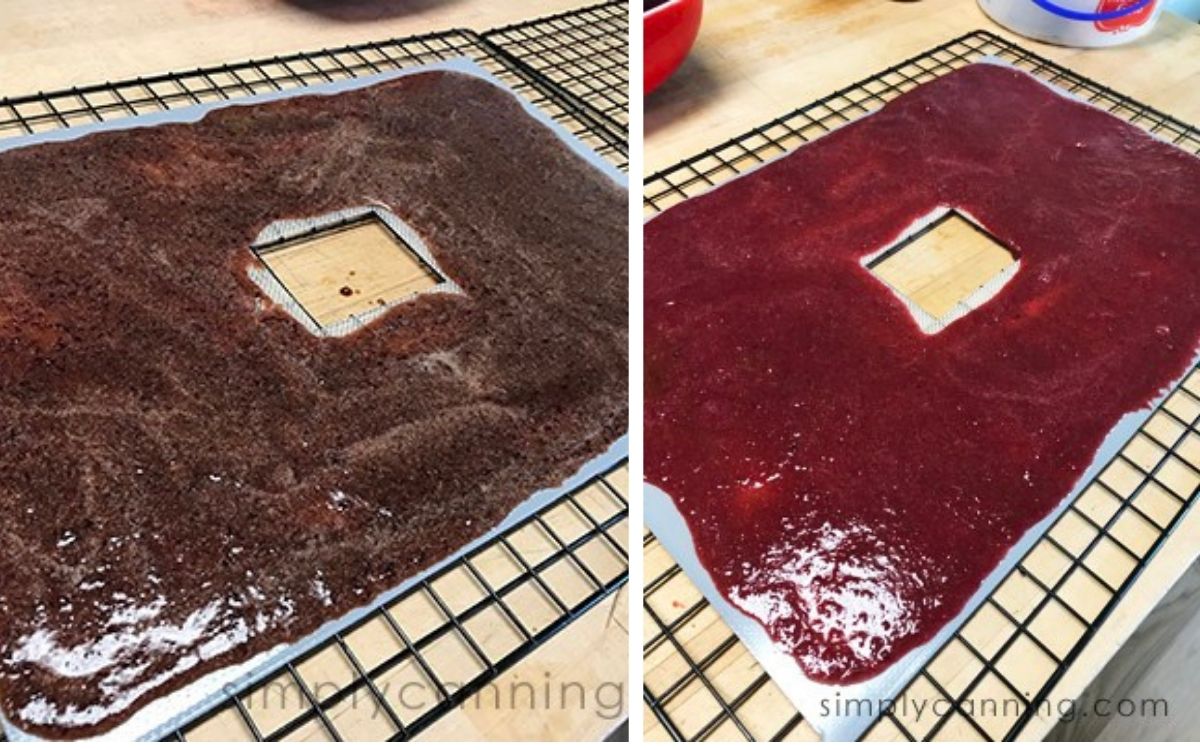 Side by side comparison of the cherry purees spread out on dehydrator trays, both cooked and uncooked.