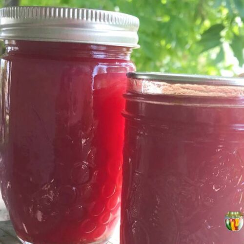 Two jars of lovely red grape jam.