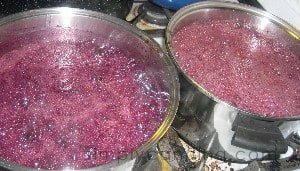 grape jam1