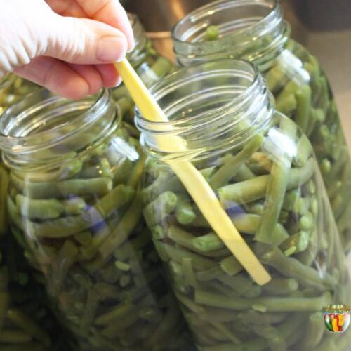 Using an orange peeler to remove bubbles from jars packed with green beans.