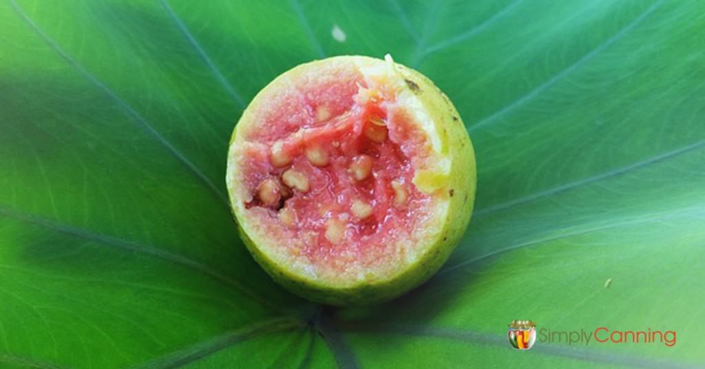 A halved red guava fruit sitting on a leaf.