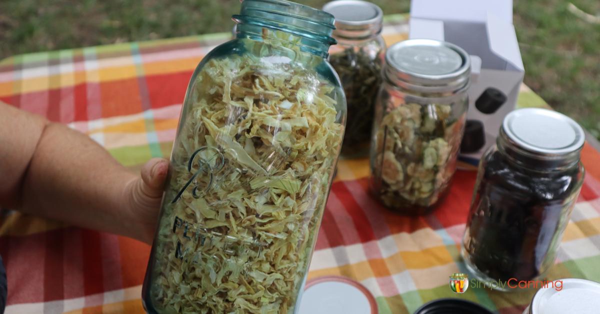 Electric Mason Jar Hand Vacuum Sealer SimplyCanning