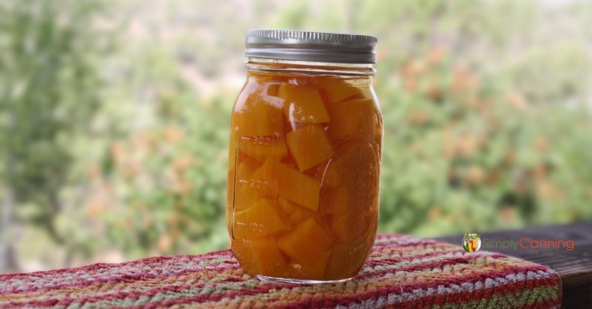 Pint jar of home canned butternut squash sitting on a railing with greenery in the background.