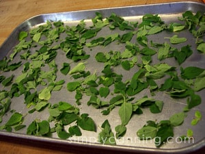 Herb leaves evenly scattered over a cookie sheet.