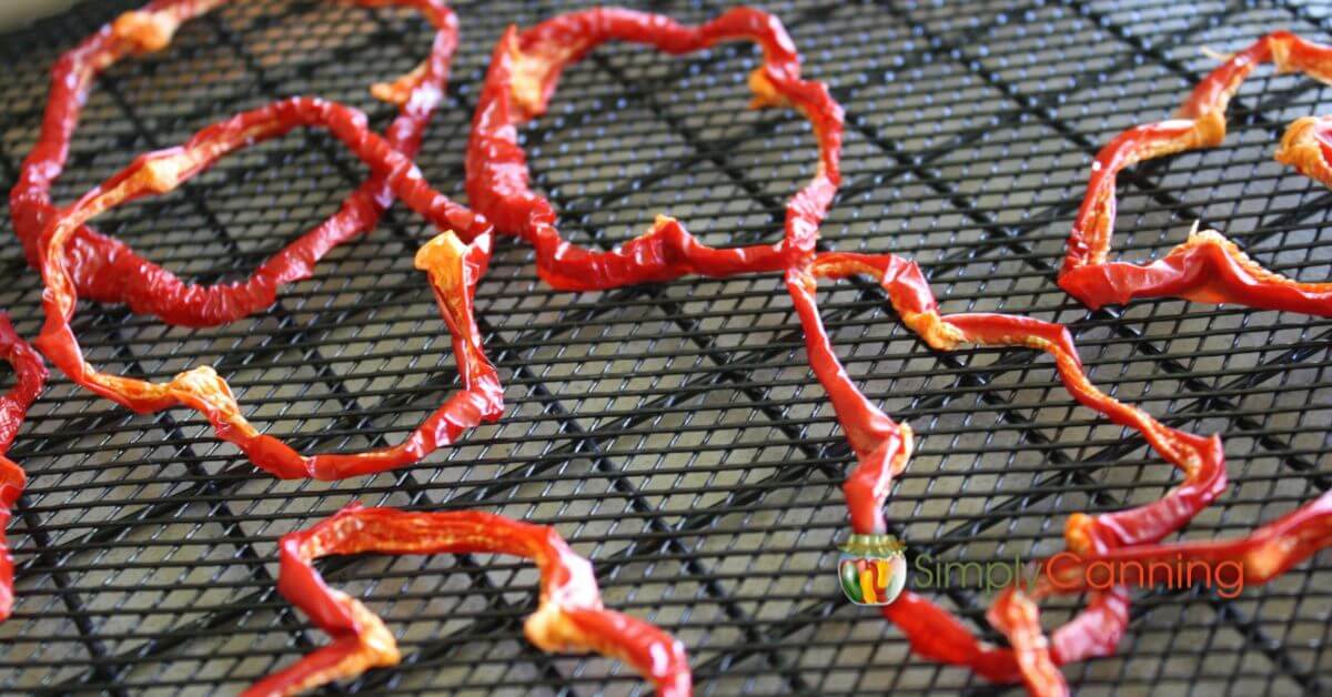 Dehydrated red pepper rings spread on a dehydrator tray.