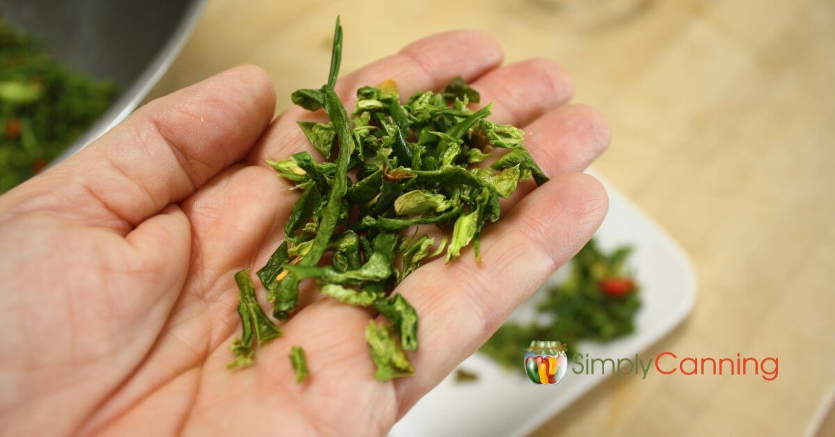 My hand holding a handful of dried green chopped peppers.