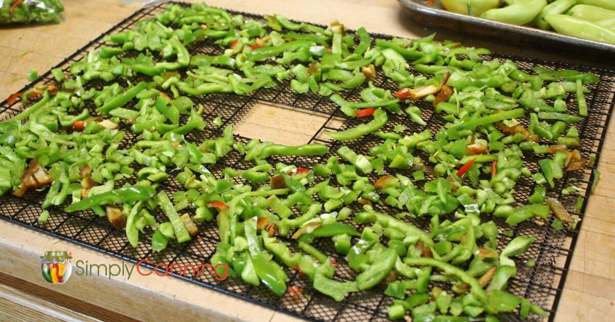 Green chopped peppers spread onto a dehydrator tray.