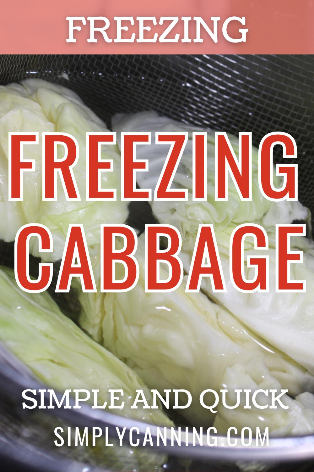 Pin image of how to freeze cabbage, links to pinterest.
