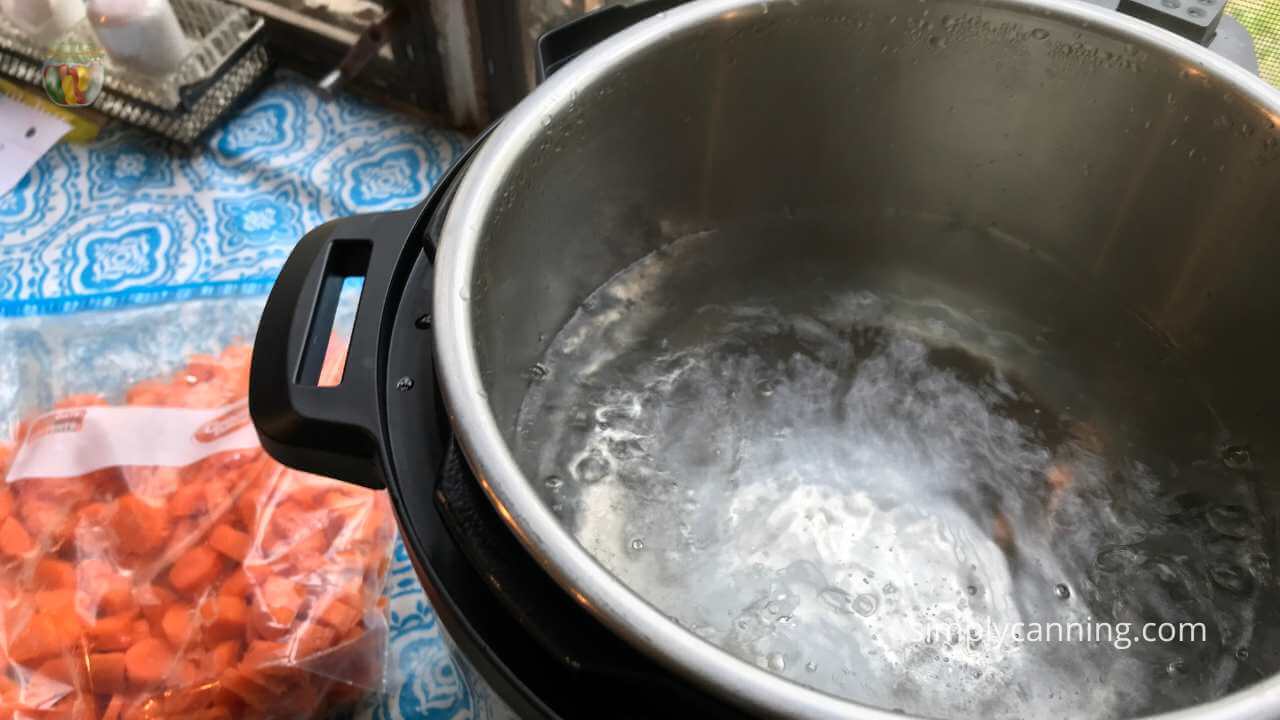 Frozen carrots packed in a freezer bag beside an instant pot with a boiling water