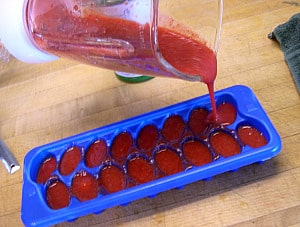 how to freeze strawberries-2