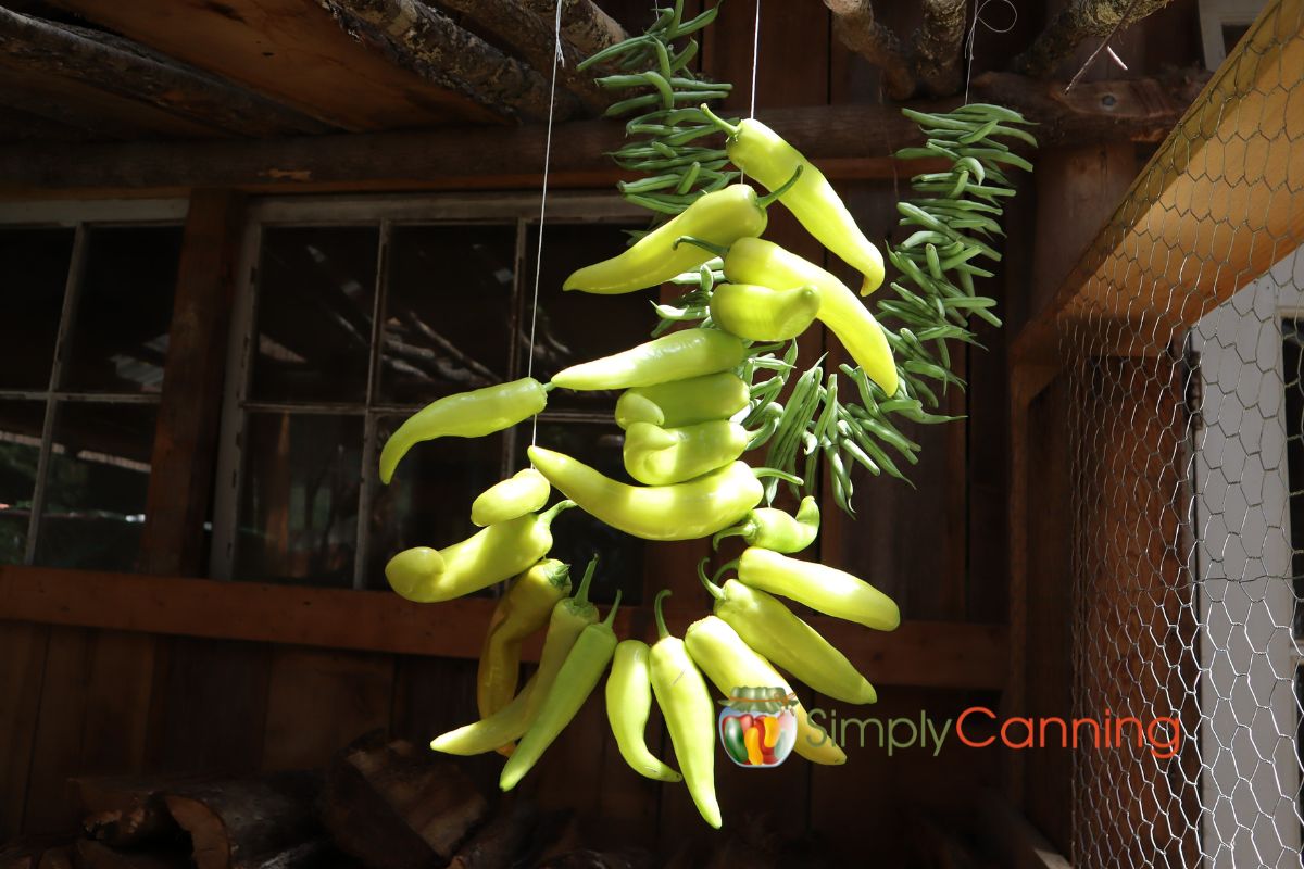 A string of banana peppers hanging from the rafters, a string of leather britches or dehydrating green beans in the background.