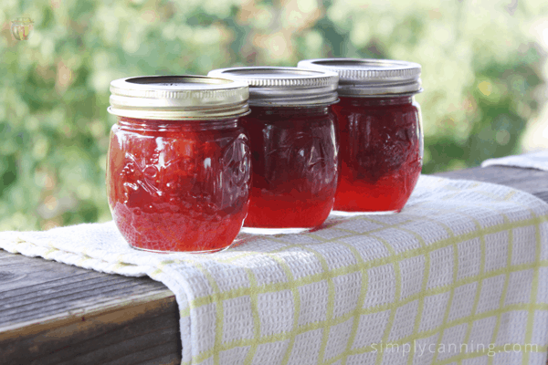 Three small jars of red jam or jelly lined up next to each other.