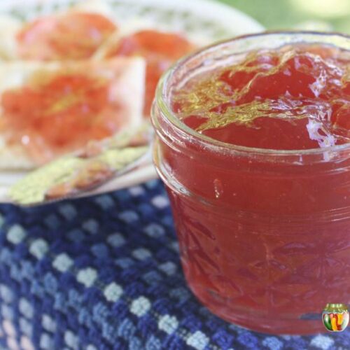 An open jar of homemade jam sitting next to a plate of crackers spread with jam.