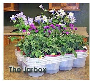 Flowerpots filled with plants in the Jarbox.