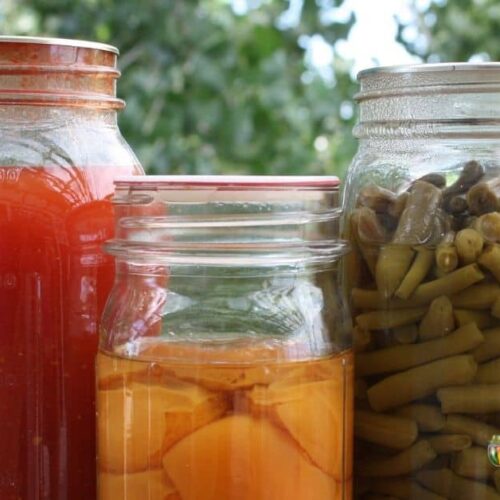 Home Canning Questions and Answers / SimplyCanning