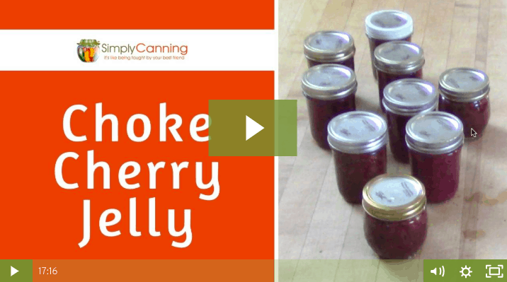 Jars of completed chokecherry jelly linking to member lesson.