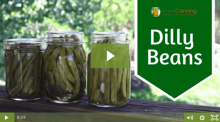 members dilly beans