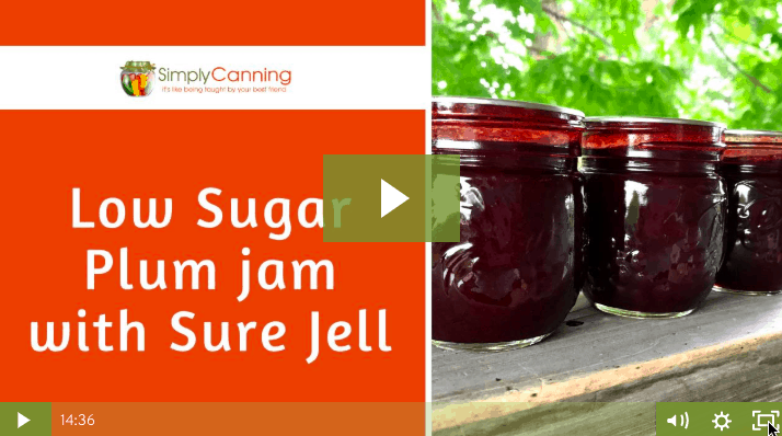 members plum jam