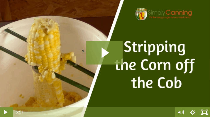 Using the corn stripping tool to cut kernels away from the cob linked to member lesson.