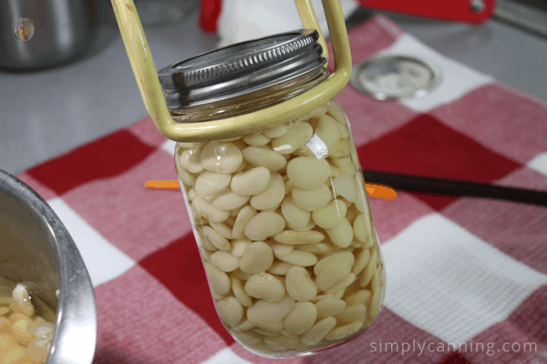 Lifting a jar of white lima beans into the canner.