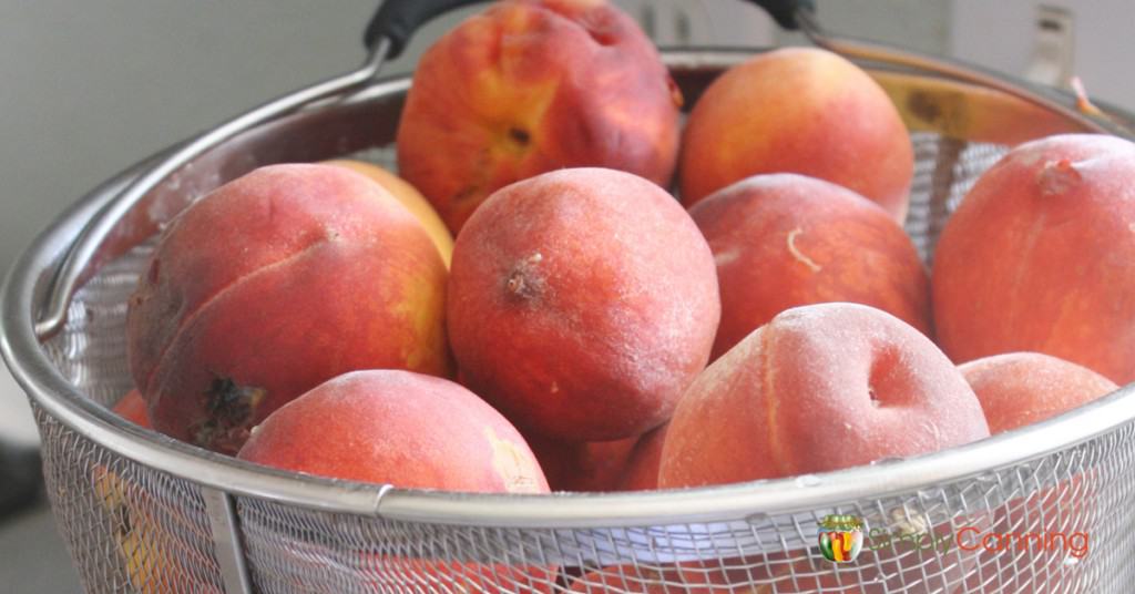 Fresh peaches sitting in a blancher basket.