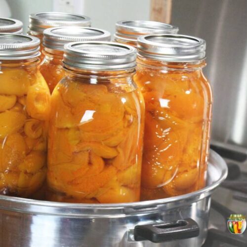 Quart canning jars filled with bright orange peaches sitting in a steam canner base.