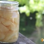 Jar of home canned pears sitting outside.