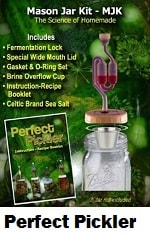 Mason Jar Kit includes fermentation lock, special wide mouth lid, gasket and O-ring set, brine overflow cup, instruction recipe booklet, and Celtic brand sea salt.