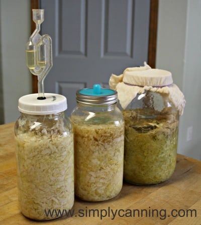 Three jars of sauerkraut fermenting with three different types of lids including one with the Pickle Pipe lid.