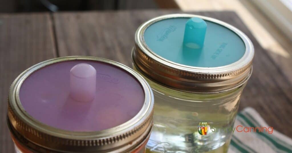 Two colored Pickle Pipes screwed on the tops of canning jars.