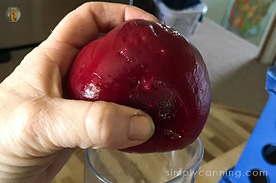 Holding a peeled beet that is about to go down the food processor chute.