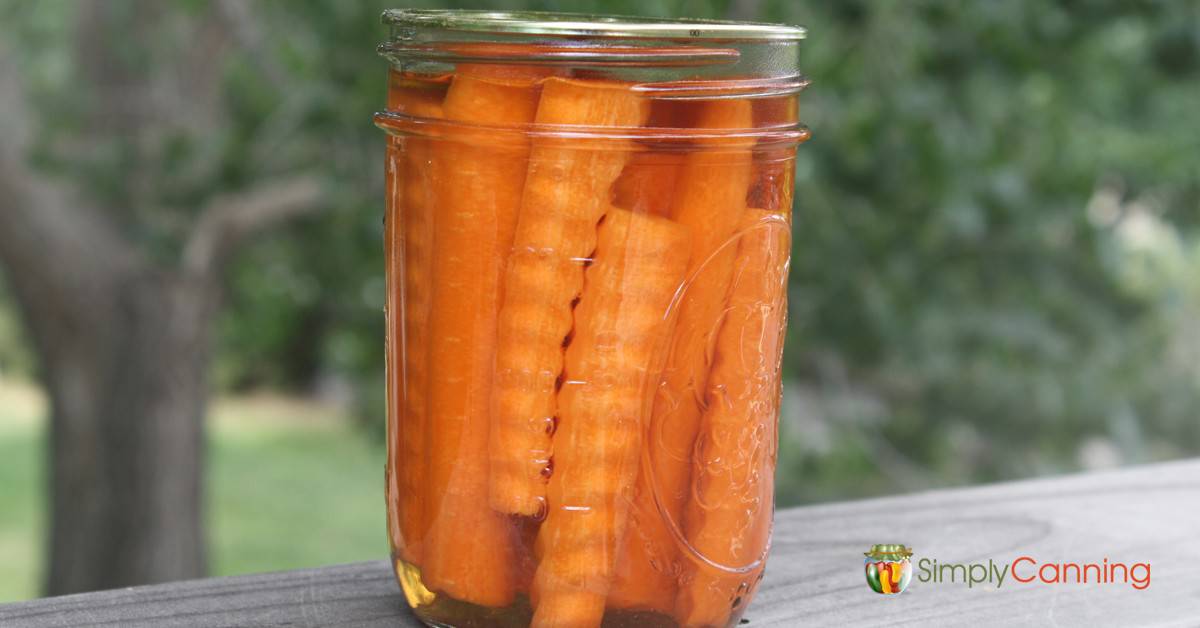 Pickled carrots are a tangy treat that can be used in many ways!