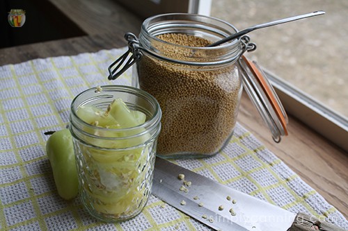 An open jar of pickling spices sitting next to a jar packed with pepper rings.