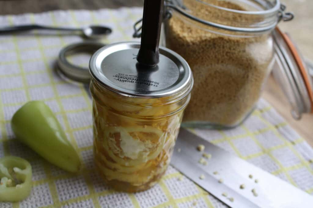 Lifting the flat canning lid onto the jar with the magnetic lid lifter.