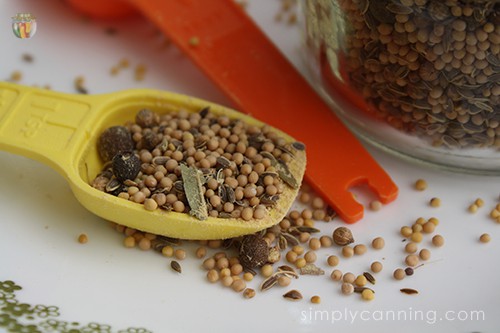 Looking closely at a measuring spoon filled with mixed pickling spices.