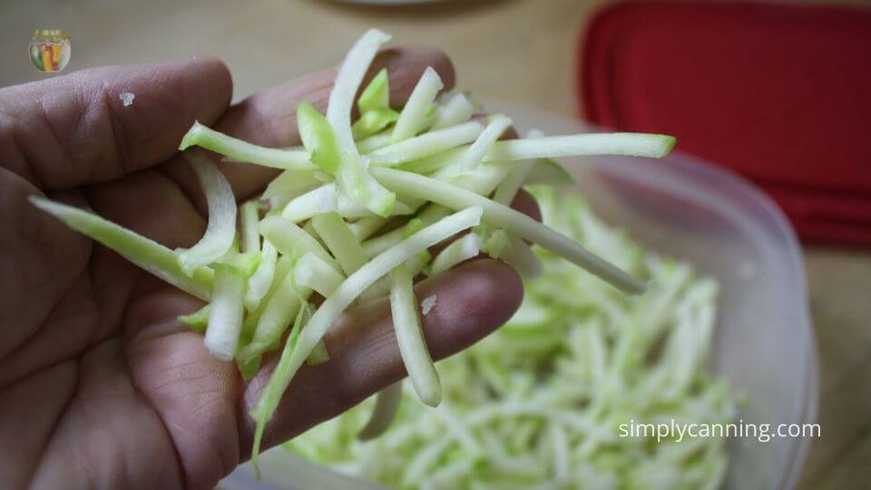 Dehydrating Zucchini- Make Pineapple Zucchini Candy!