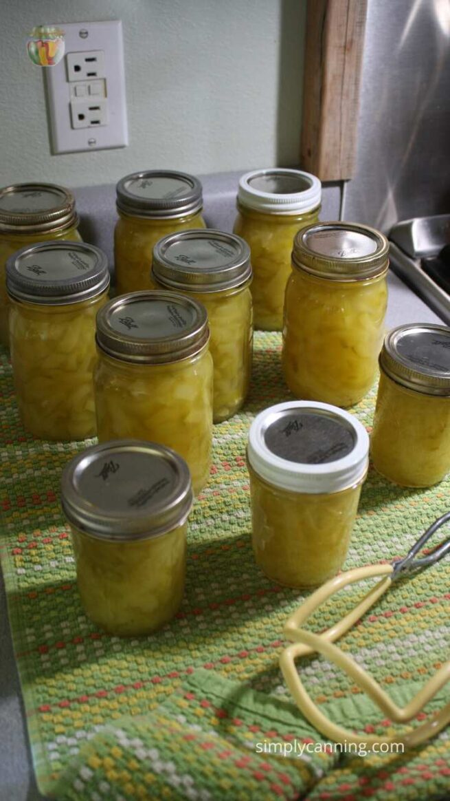 Canning Zucchini Pineapple Juice (Can, Freeze or Fridge options)