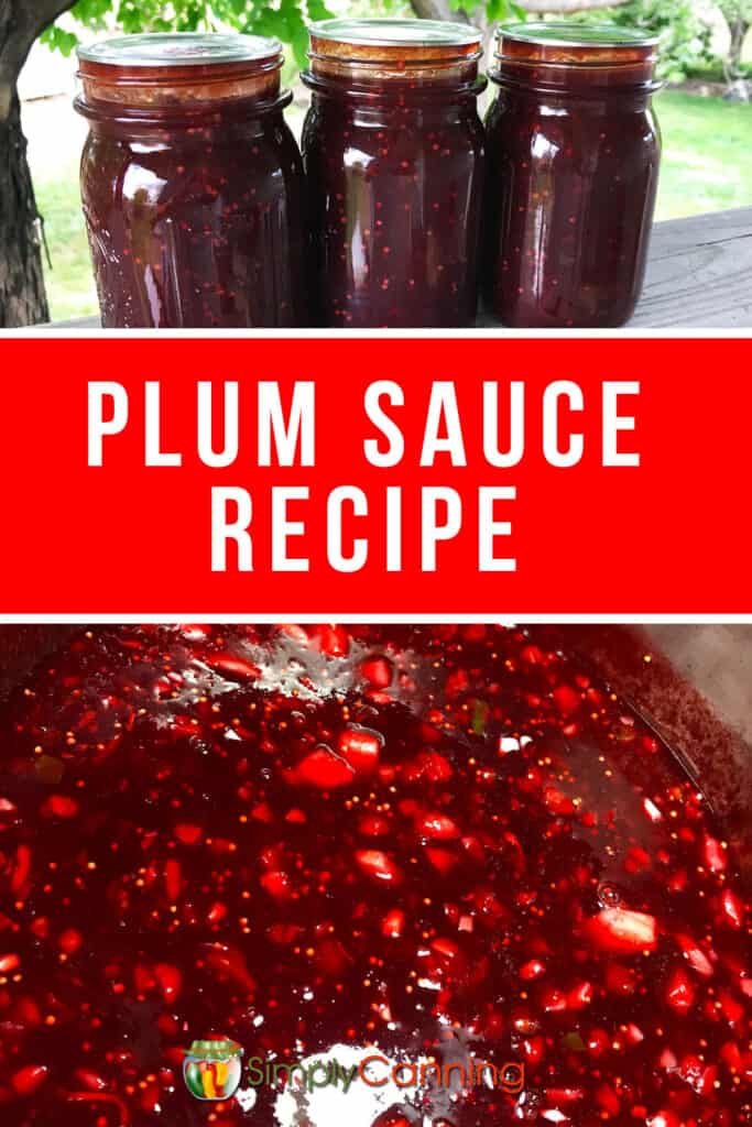 Plum Sauce Recipe