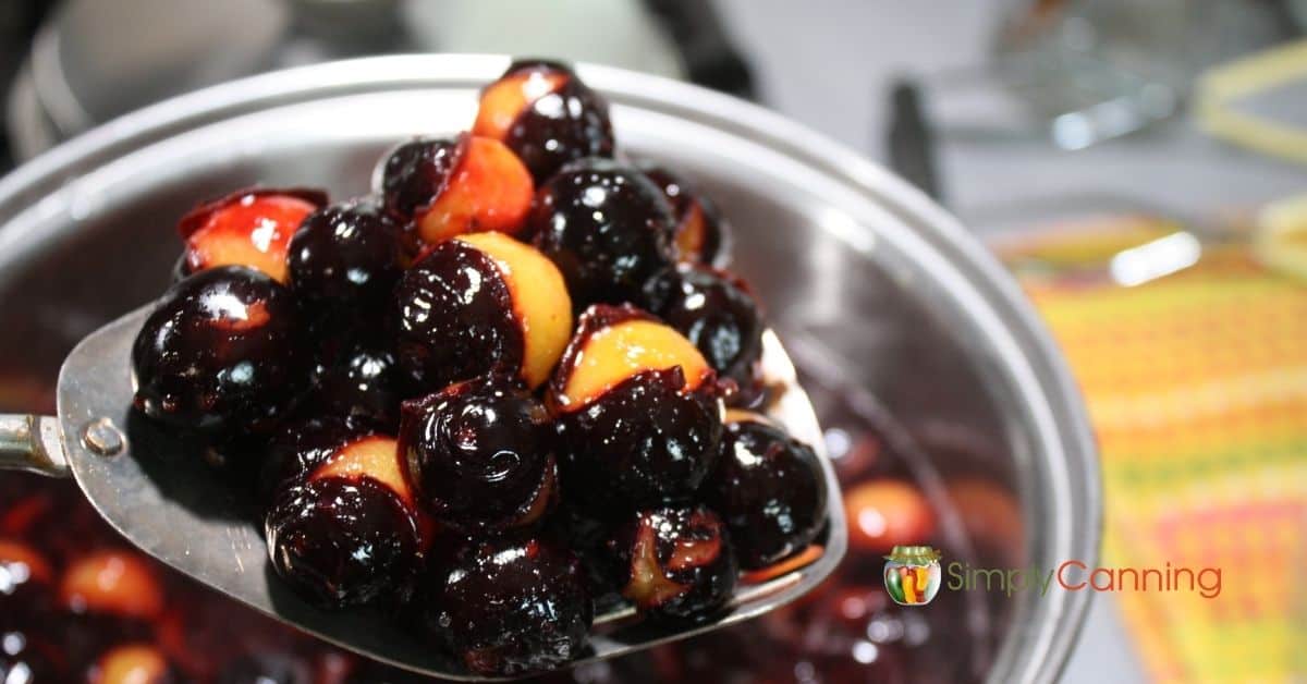 Lifting a spoonful of cooking plums from the pot.