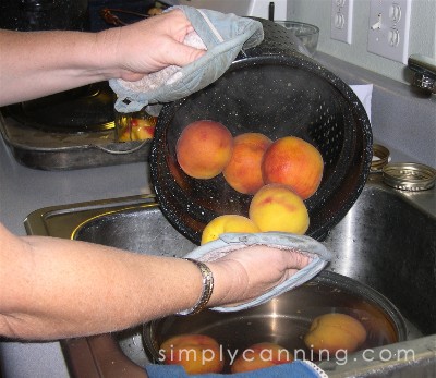 Plunging hot peaches into the sink of cold water.