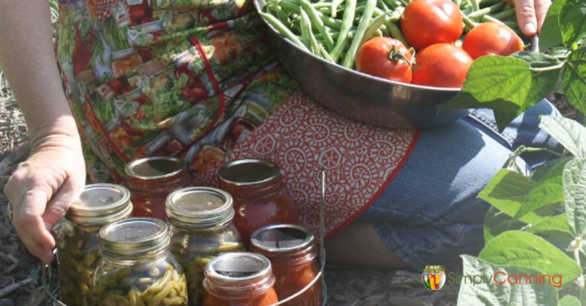 Sharon in the garden holding a bowl of fresh tomatoes and green beans with a collection of canned green beans and tomatoes to her side.